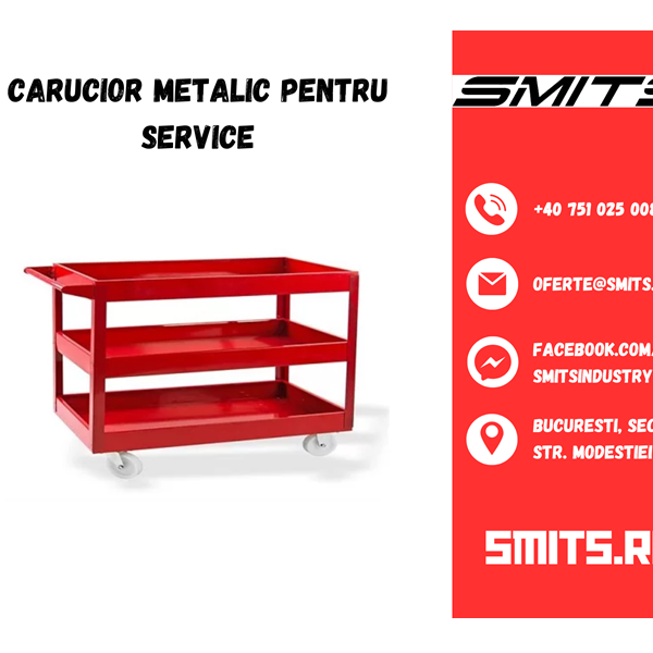 carucior-metalic-service